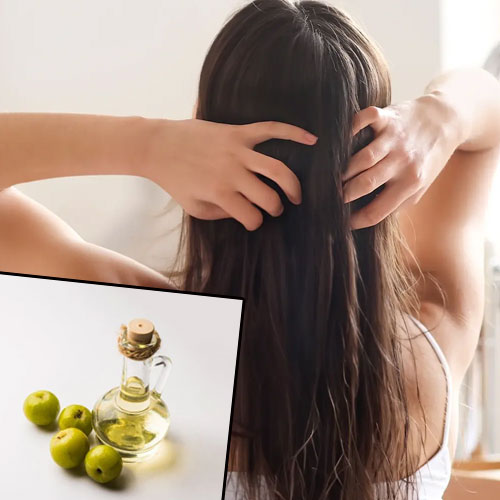 Hair Care: घर पर बनाएं नेचुरल आंवला तेल, हेल्दी सॉफ्ट और शाइनी रहेंगे बाल