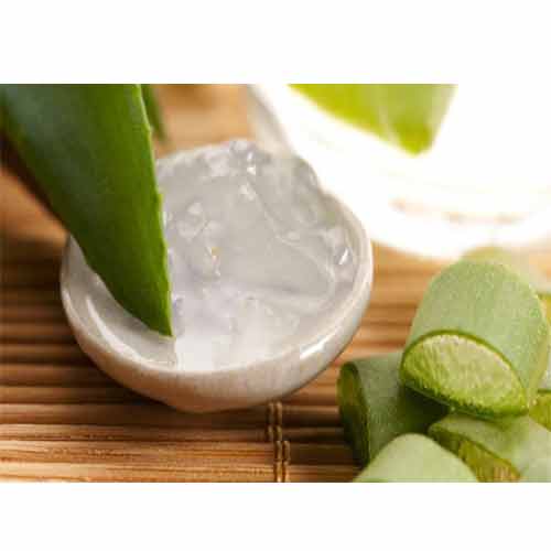 Aloe Vera का अनोखा लाभ रोगों को करें साफ 