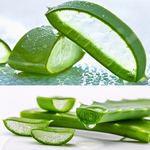 जानिए: Aloevera के चमत्कारी लाभ