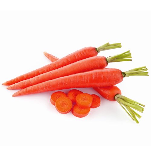 ठंड के मौमस में गाजर है संजीवनी बूटी 