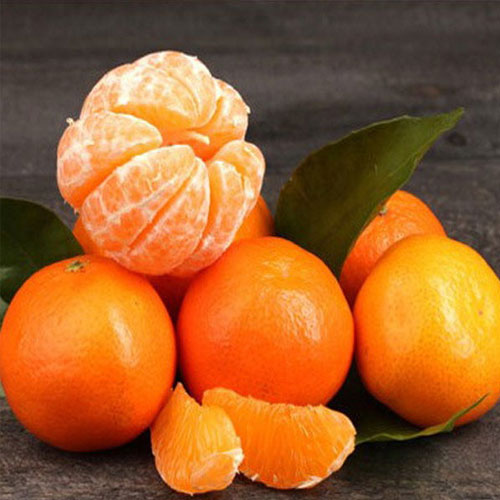 
 
  

 संतरा सेहत के लिए स्वास्थ्यवर्धक
	 
