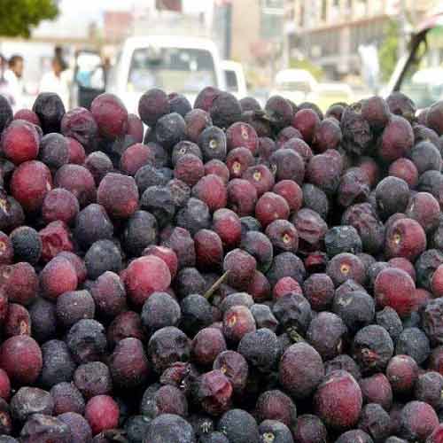 उमसभरी में गर्मी का डॉक्टर फालसा 