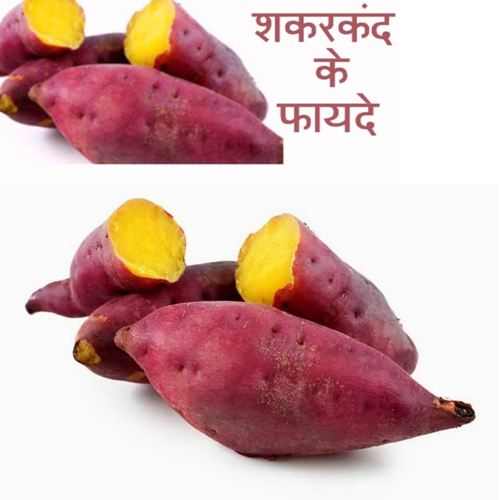 शकरकंद के लाभ ही लाभ