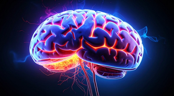 Health Tips :  स्ट्रोक से जान बचाने में बेहद कारगर फास्ट फॉर्मूला, यहां समझें 
