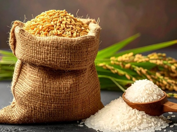 Healthy Food : चावल या गेहूं, यहां जानिए कौन है सेहत के लिए फायदेमंद और हानिकारक
