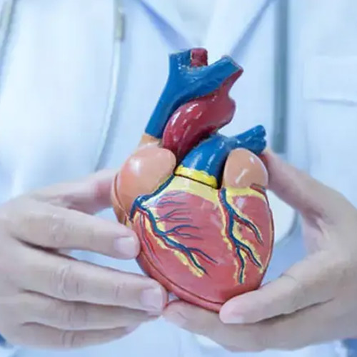 बिना दवाइयों के दूर हो सकती है दिल की बीमारियां, इस रूटीन को करें फॉलो