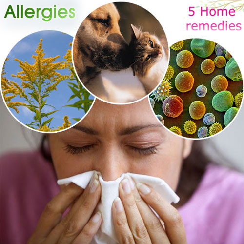 एलर्जी से बचने के लिए 5 घरेलू टिप्स