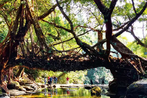 सर्दियों के दिनों में इन स्थानों पर प्रकृति अपनी बाहें फैलाकर करती है स्वागत