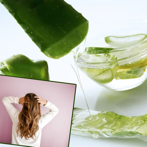 एलोवेरा से बढ़ाएं अपने बालों की लंबाई, इस तरह करें इस्तेमाल
