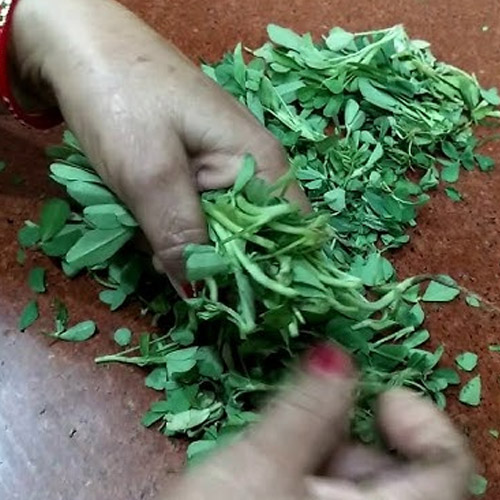 Kitchen Tips: मेथी की सफाई करने में लगता है लंबा समय, तो इन तरीकों से घंटों का काम मिनटों में करें