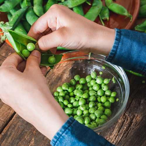 Kitchen Tips: मटर छीलने में लगती है बोरियत, तो इन तरीकों से फटाफट निकाले