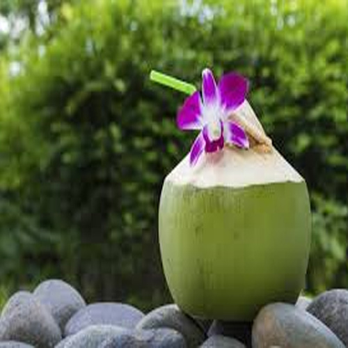 इस नारियल पानी स्मूदी से गर्मी को करें छूमंतर