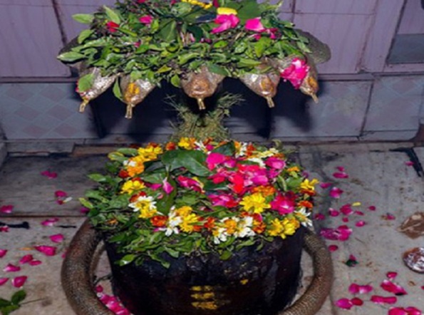 भगवान शिव के पिता 40 फीट की गहरी सुरंग में विराजमान हैं! साल में एक मिलता है दर्शन का अवसर
