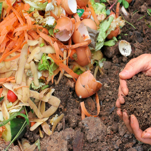 फल और सब्जी के छिलके से बनाएं नेचुरल खाद, प्लांटिंग में नहीं होगा खर्च