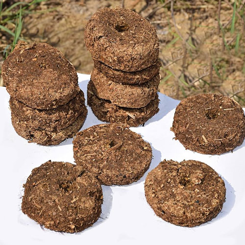 होलिका दहन के लिए घर पर ही बना लीजिए उपला, ये है सबसे आसान तरीका