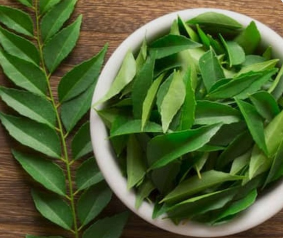 बाजार वाले करी पत्ते में अब नहीं रहा वो स्वाद, घर पर इस तरह उगाएं एकदम ताजा और खुशबूदार मीठा नीम