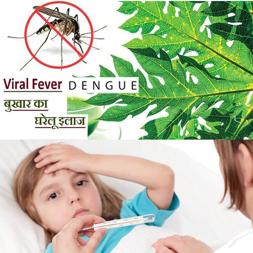 कुदरती उपाय: वायरल, डेंगू, मलेरिया से पाएं छुटकारा