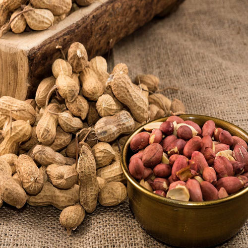 सर्दियों में औषधि की तरह काम करती है मूंगफली, इस तरह खाने से दोगुने होंगे फायदे