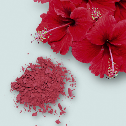 Skin Care Tips: गुड़हल के फूल के फेसपैक से खिल जाएगा चेहरा, इस तरह बनाएं