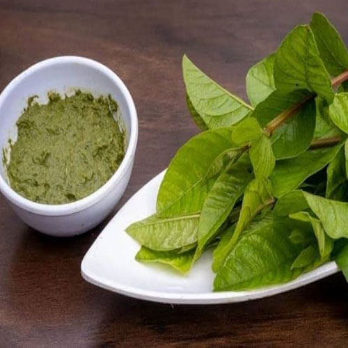 Skin Care Tips: अमरूद के पत्तों से दूर हो जाएंगे पिंपल्स, होते हैं कई सारे गुण