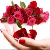 गुलाब के 11अनजाने लाभ त्वचा व स्वास्थ्य के लिए