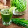 Wheat grass के Health के लिए 7 कमाल के लाभ