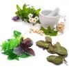 6 ग्रीन खुशबूदार Herbs बीमारियों को भगाए
