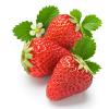 स्ट्रॉबेरी के कमाल के लाभ