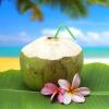 नारियल पानी पीने से सेहत ही सौंदर्य भी निखारें 