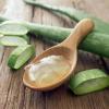 Aloe Vera का अनोखा लाभ रोगों को करें साफ 