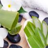 जानिए: Aloevera के चमत्कारी लाभ 