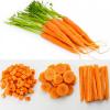गाजर खाने के लाभ ही लाभ
