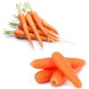 सेहत के लिए लाभकारी गाजर 