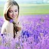 Lavender के स्वास्थ्यवर्धक लाभ
