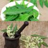 Herbal इलाज:पसीने की दुर्गन्ध से पाएं छुटकारा 