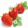 रसीली स्ट्रॉबेरी के चमत्कारी लाभ