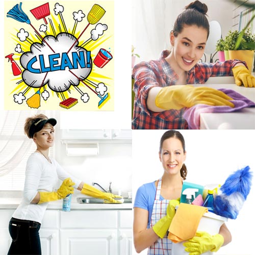 स्मार्ट उपाय:घर की साफ-सफाई के लिए...