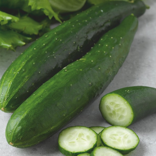 अंदर से कड़वा नहीं निकलेगा खीरा, इस तरह करें पहचान