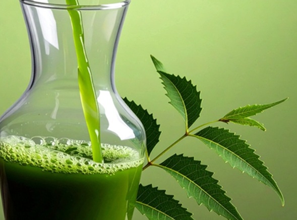 कड़वे नीम के मीठे गुण : नीम के पत्तों के रस सेवन के फायदे और सावधानियां
