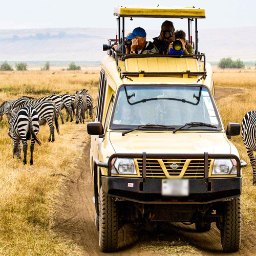 Travel Tips: जंगल सफारी के दौरान न करें ये गलतियां, इन बातों का रखें ध्यान