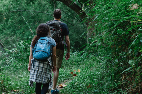 Travel Tips: आप भी करना चाहते हैं जंगलों की सैर, तो साथ ले जाएं जरूरी सामान