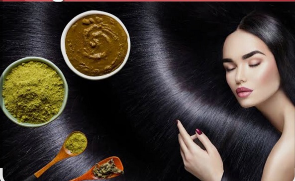 Beauty Tips: सफेद बालों से हैं परेशान केमिकल डाई छोड़ें, मेहंदी में मिलाएं ये 5 चीजें और पाएं नेचुरल काला रंग