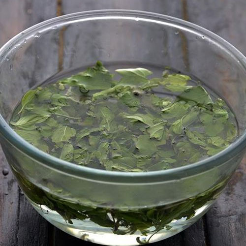 अपच, सर्दी-जुकाम समेत कई रोगों का इलाज है तुलसी जल, बूस्ट होगी इम्यूनिटी
