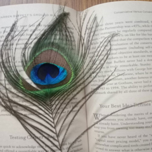 Vastu Tips: क्या किताब में मोर पंख रखने से सच में बदल जाती है किस्मत