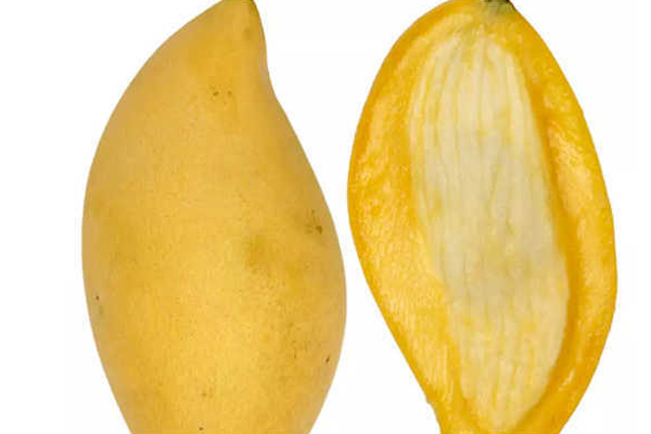 आम की गुठलियों से बना सकते हैं ये डिशेस, उंगलियां चाटता रह जाएगा परिवार